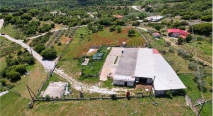Commercial - Building - Drama, East Macedonia - Greece