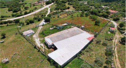 Commercial - Building - Drama, East Macedonia - Greece