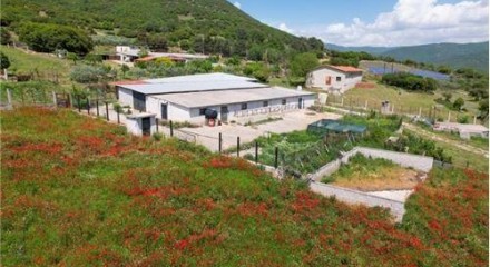Commercial - Building - Drama, East Macedonia - Greece
