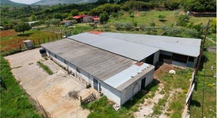 Commercial - Building - Drama, East Macedonia - Greece