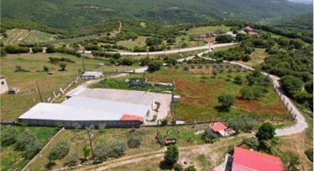 Commercial - Building - Drama, East Macedonia - Greece