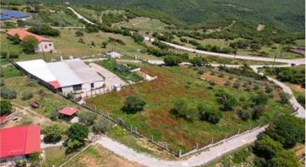 Commercial - Building - Drama, East Macedonia - Greece