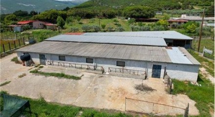 Commercial - Building - Drama, East Macedonia - Greece