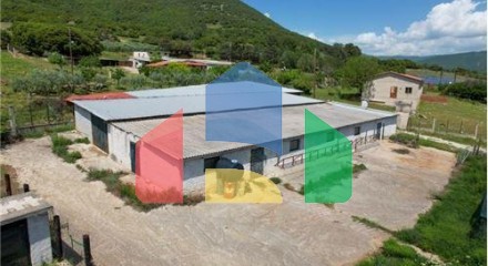 Commercial - Building - Drama, East Macedonia - Greece