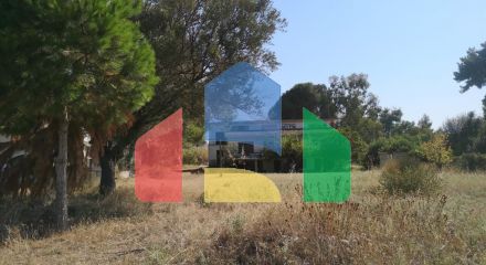 For Sale - Land 3650 m² in Kassandra, Chalkidiki