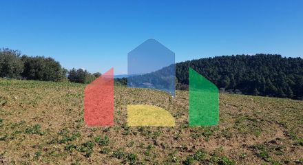Продажа - Земельный участок 9000 m² на Кассандре (Халкидики)