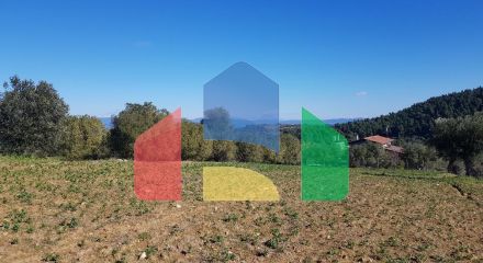 Продажа - Земельный участок 9000 m² на Кассандре (Халкидики)