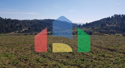 Продажа - Земельный участок 9000 m² на Кассандре (Халкидики)