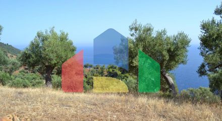 For Sale - Land 2600 m² in Kassandra, Chalkidiki