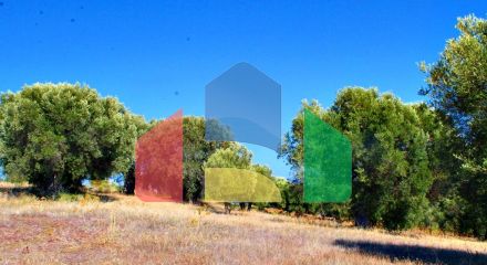 For Sale - Land 20000 m² in Kassandra, Chalkidiki