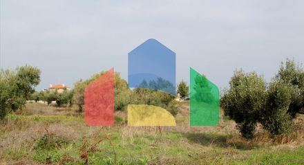 Продажа - Земельный участок 4000 m² на Кассандре (Халкидики)