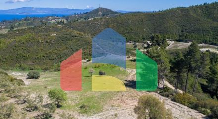 For Sale - Land 6750 m² in Kassandra, Chalkidiki