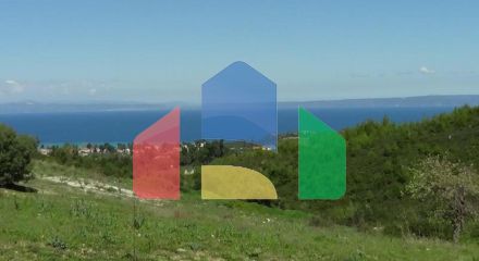 For Sale - Land 6750 m² in Kassandra, Chalkidiki