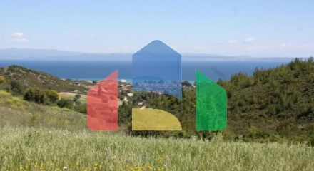 For Sale - Land 6750 m² in Kassandra, Chalkidiki