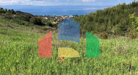 For Sale - Land 6750 m² in Kassandra, Chalkidiki