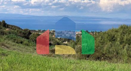 Продаж - Земельна ділянка 6750 m² на Кассандрі (Халкідіки)