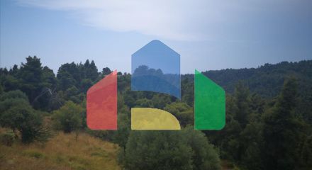 Продаж - Земельна ділянка 5500 m² на Кассандрі (Халкідіки)