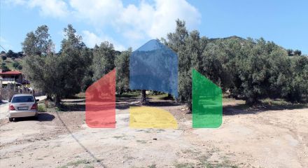 For Sale - Land 3000 m² in Kassandra, Chalkidiki