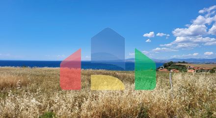 For Sale - Land 5750 m² in Kassandra, Chalkidiki