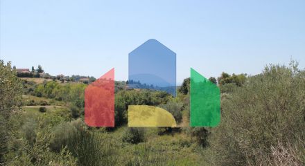 For Sale - Land 2500 m² in Kassandra, Chalkidiki