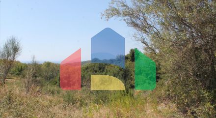 For Sale - Land 2500 m² in Kassandra, Chalkidiki