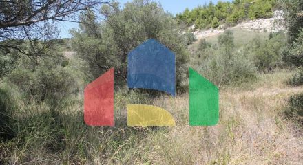 For Sale - Land 2500 m² in Kassandra, Chalkidiki