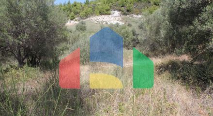 For Sale - Land 2500 m² in Kassandra, Chalkidiki