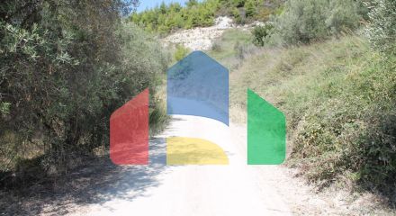For Sale - Land 2500 m² in Kassandra, Chalkidiki