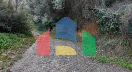 For Sale - Land 2704 m² in Kassandra, Chalkidiki