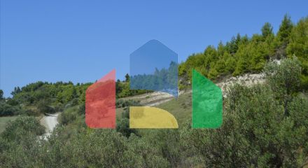 Продажа - Земельный участок 7000 m² на Кассандре (Халкидики)