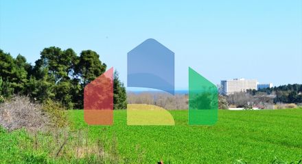 Продажа - Земельный участок 10800 m² на Кассандре (Халкидики)