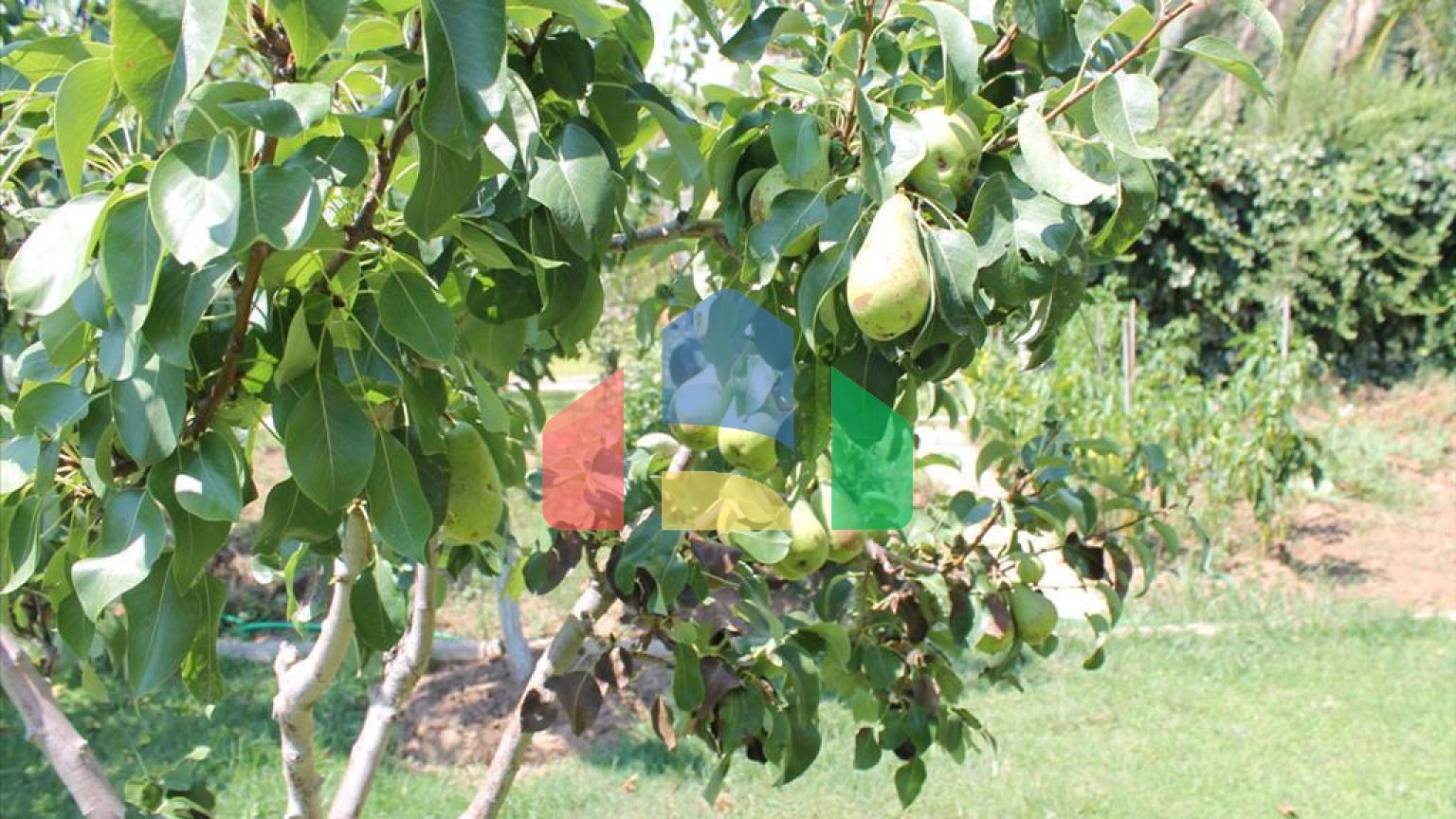 Продаж - Вілла 430 m² на Кассандрі (Халкідіки)