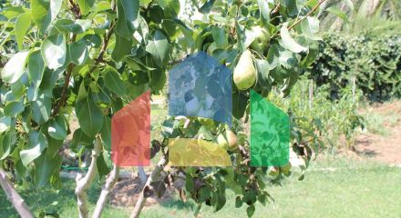 Продаж - Вілла 430 m² на Кассандрі (Халкідіки)