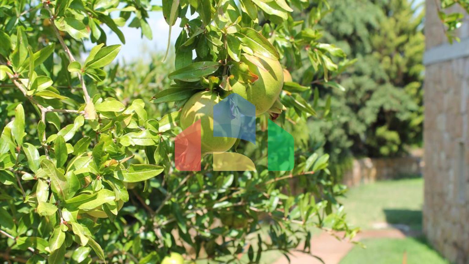 Продаж - Вілла 430 m² на Кассандрі (Халкідіки)