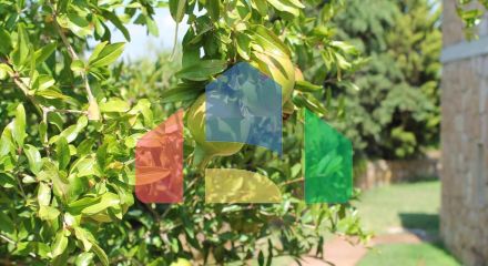 Продаж - Вілла 430 m² на Кассандрі (Халкідіки)