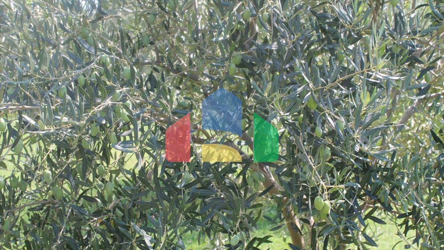 Продаж - Вілла 430 m² на Кассандрі (Халкідіки)