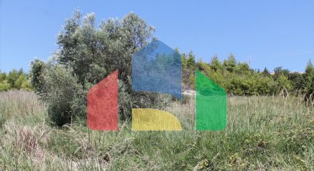 Продажа - Земельный участок 2550 m² на Кассандре (Халкидики)
