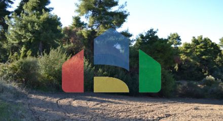 For Sale - Land 4319 m² in Kassandra, Chalkidiki
