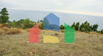 For Sale - Land 55000 m² in Kassandra, Chalkidiki