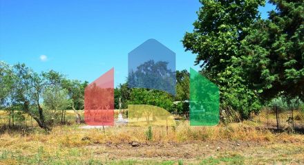 For Sale - Land 800 m² in Kassandra, Chalkidiki