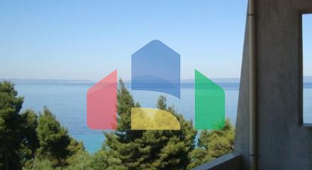 Продажа - Бизнес 3000 m² на Кассандре (Халкидики) Продажа - Бизнес 3000 m² на Кассандре (Халкидики)