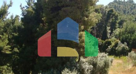 Продажа - Бизнес 3000 m² на Кассандре (Халкидики) Продажа - Бизнес 3000 m² на Кассандре (Халкидики)