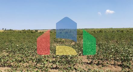 Продажа - Земельный участок 30000 m² на Кассандре (Халкидики)