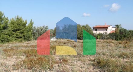 For Sale - Land 4500 m² in Kassandra, Chalkidiki