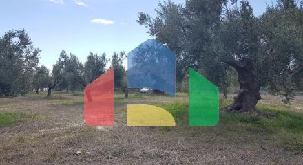 For Sale - Land 4908 m² in Kassandra, Chalkidiki