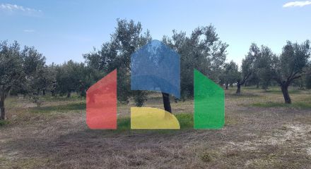 For Sale - Land 4908 m² in Kassandra, Chalkidiki