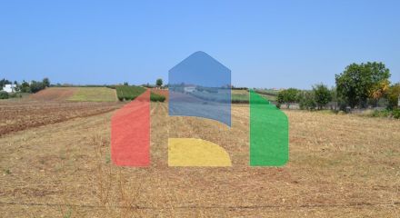 For Sale - Land 9000 m² in Kassandra, Chalkidiki