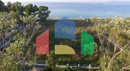 For Sale - Land 4800 m² in Kassandra, Chalkidiki