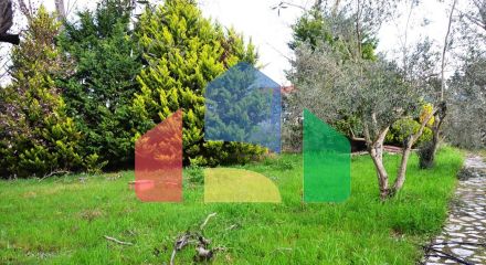 Продаж - Готель 230 m² на Кассандрі (Халкідіки)