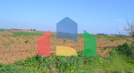 For Sale - Land 4000 m² in Kassandra, Chalkidiki